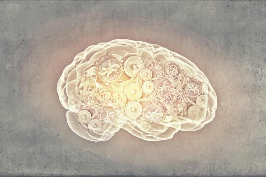 Was ist praktische Intelligenz?