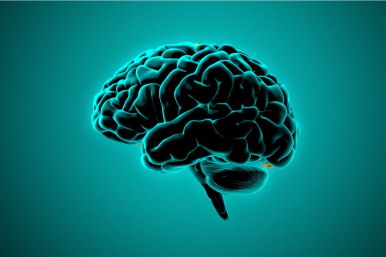Neurowissenschaft: Wie tickt das Gehirn gewalttätiger Menschen?