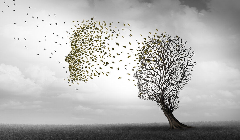 Die Unterschiede zwischen Alzheimer und Demenz