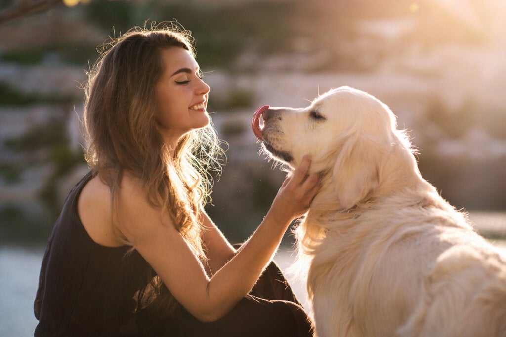 Eine Studie bestätigt: Dein Hund versteht dich!