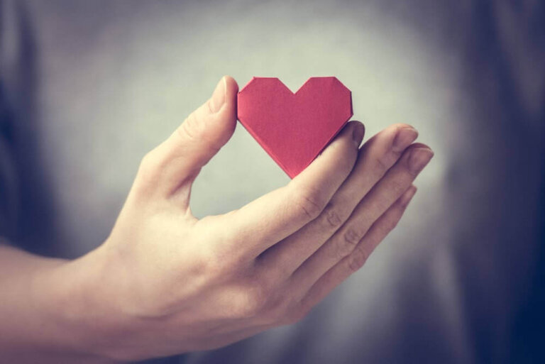 Die liebe ist - Die preiswertesten Die liebe ist analysiert!