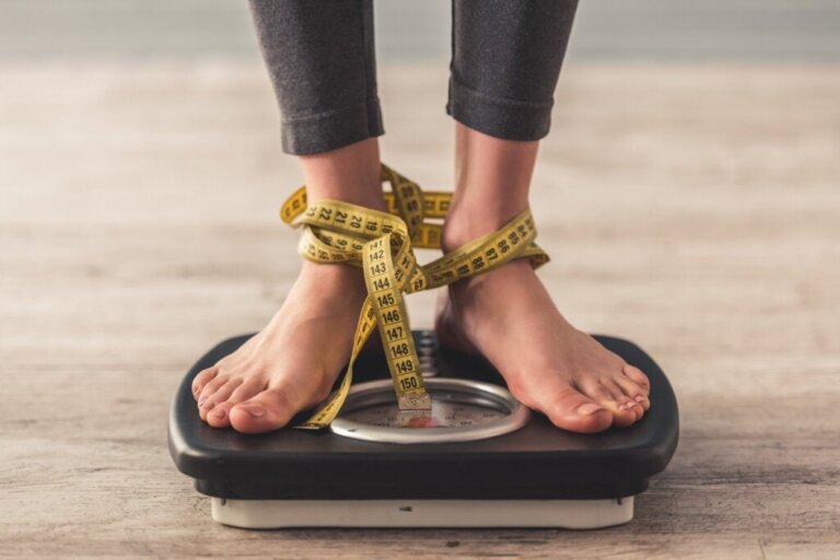 Der Quetelet-Index oder warum der BMI (Body Mass Index) nicht mehr zeitgemäß ist
