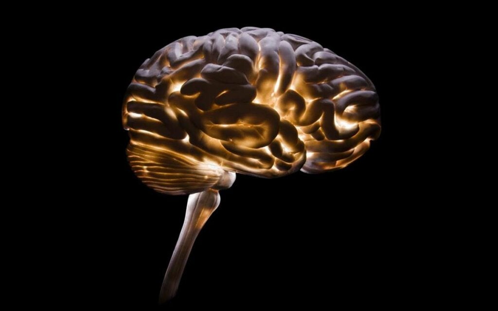Neurokriminologie: eine notwendige Disziplin