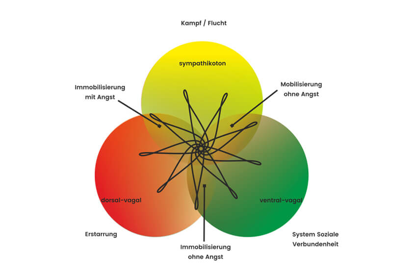 Polyvagal-Theorie
