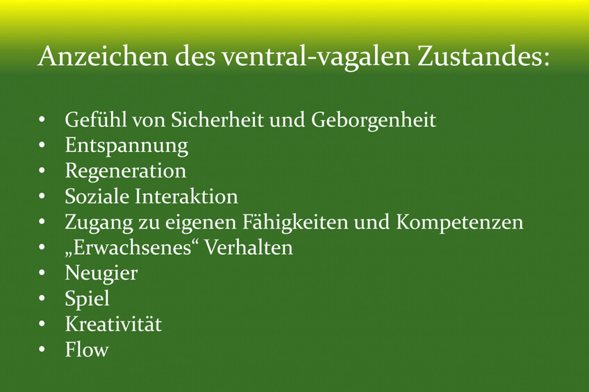 Anzeichen des ventral-vagalen Zustandes