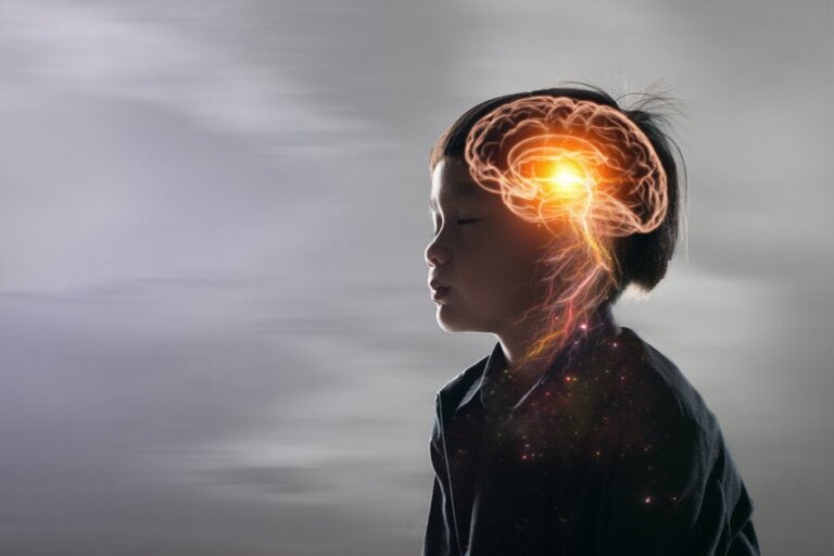 Das kindliche Gehirn verstehen: das Organ des Lernens