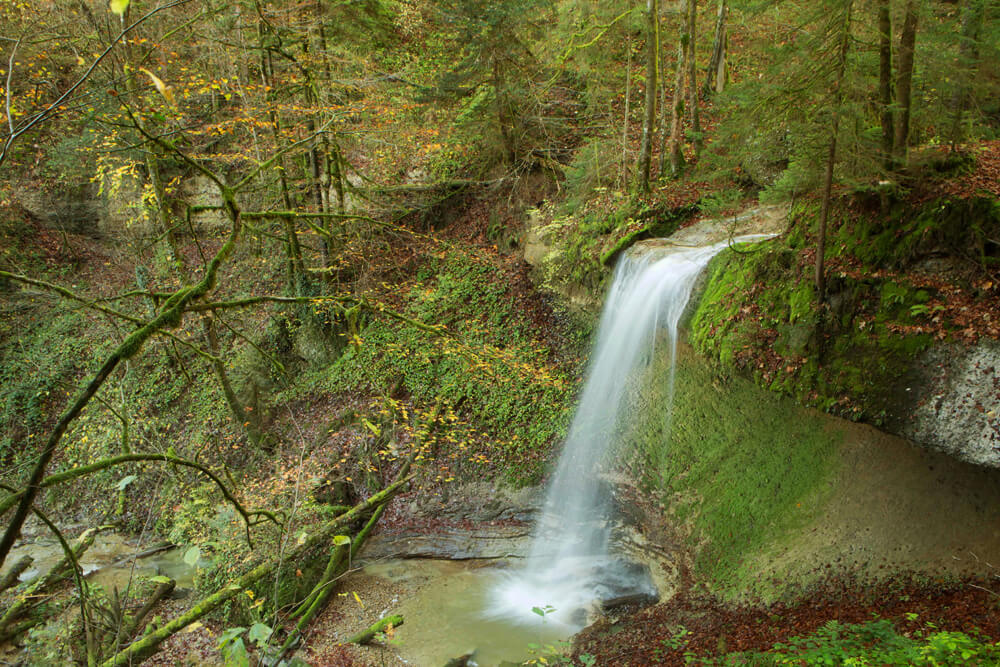 Wasserfall im Wald