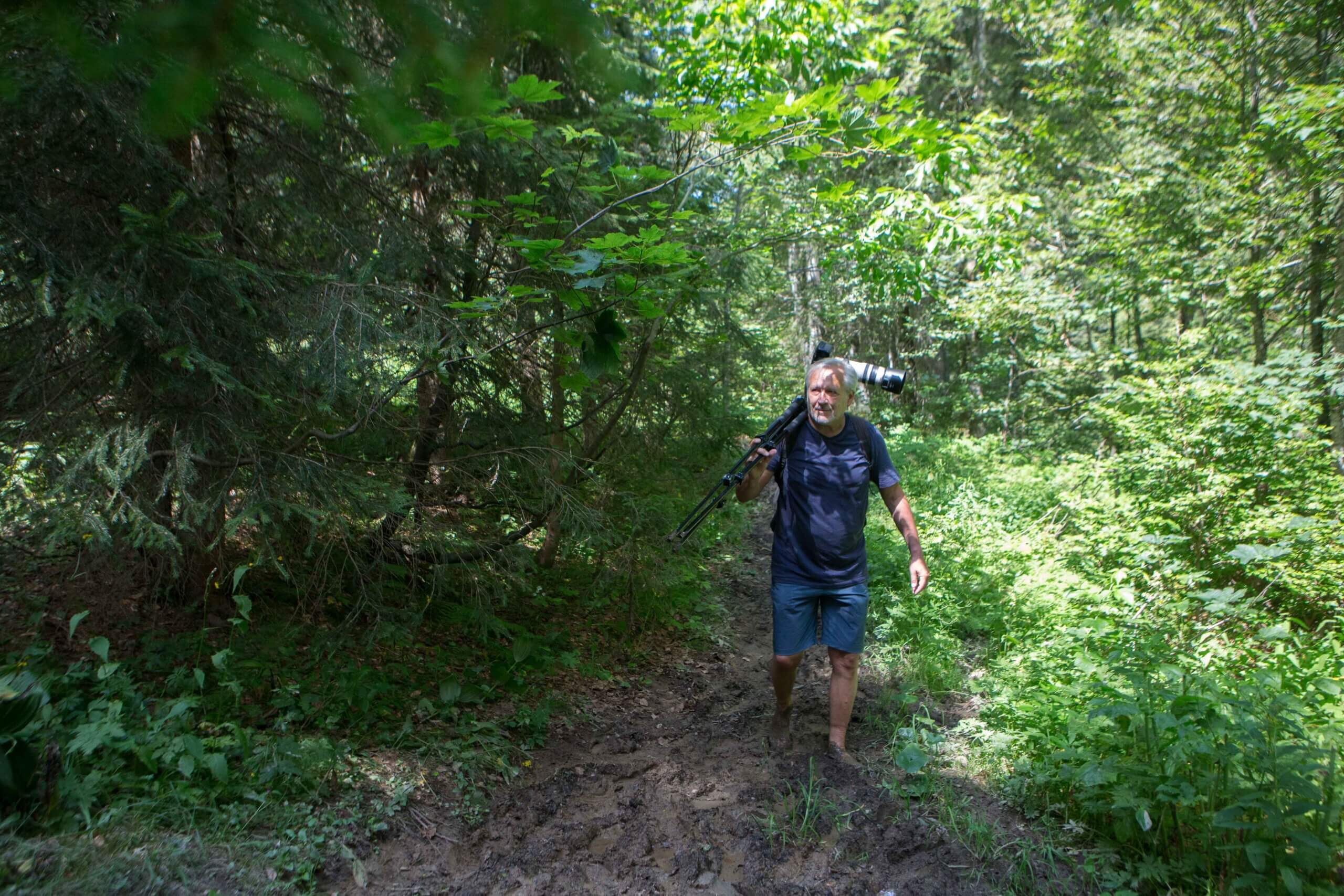 Conrad Amber im Wald