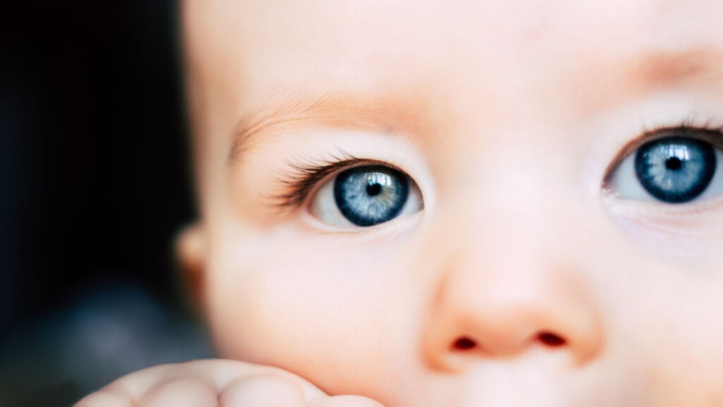Wahrnehmungskonstanz: Was Babys sehen, Erwachsene jedoch nicht