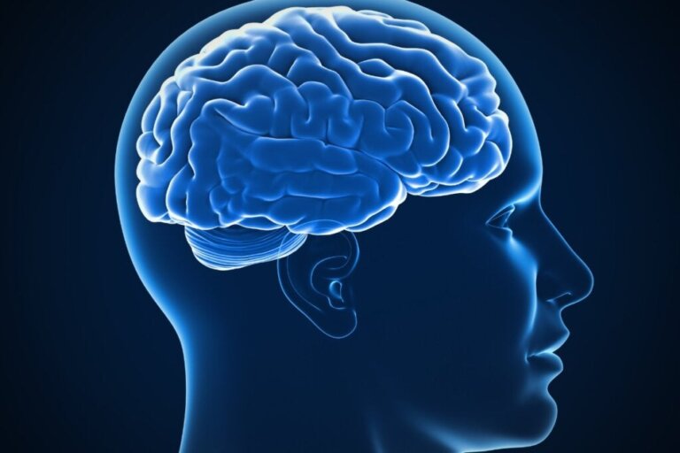 Das CHC-Modell: Aufbau und Struktur der menschlichen Intelligenz