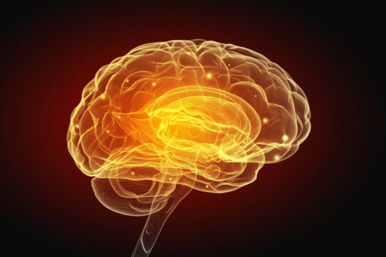 Schizophrenie durch zerebrovaskuläre Veränderungen?