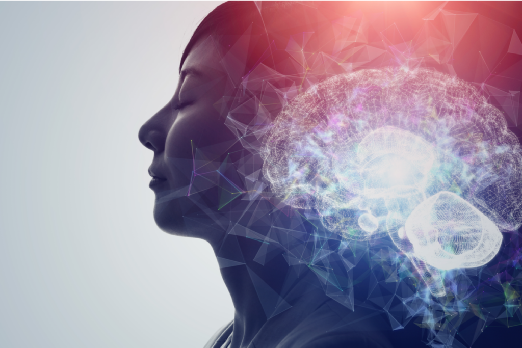 Discovered neural pathway that erases memories