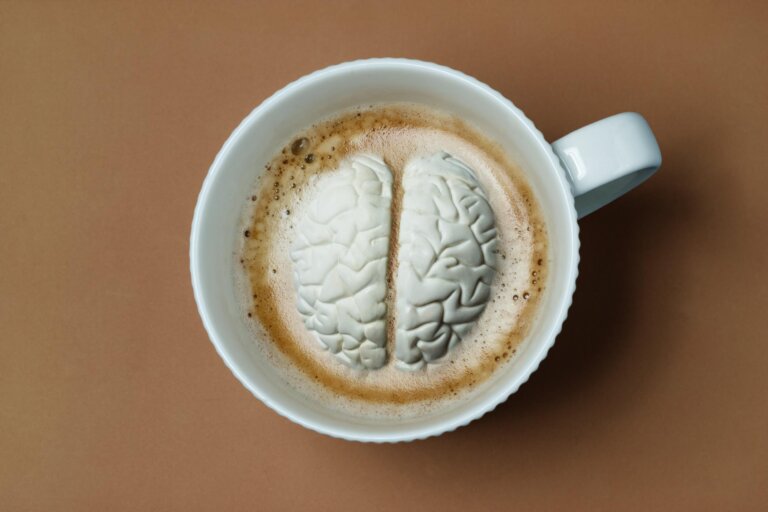 Wie wirkt sich Koffein auf das Gehirn aus?