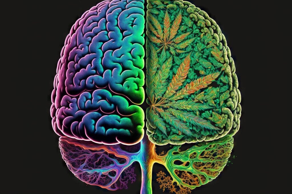 Cannabis und Schizophrenie: Was du darüber wissen solltest