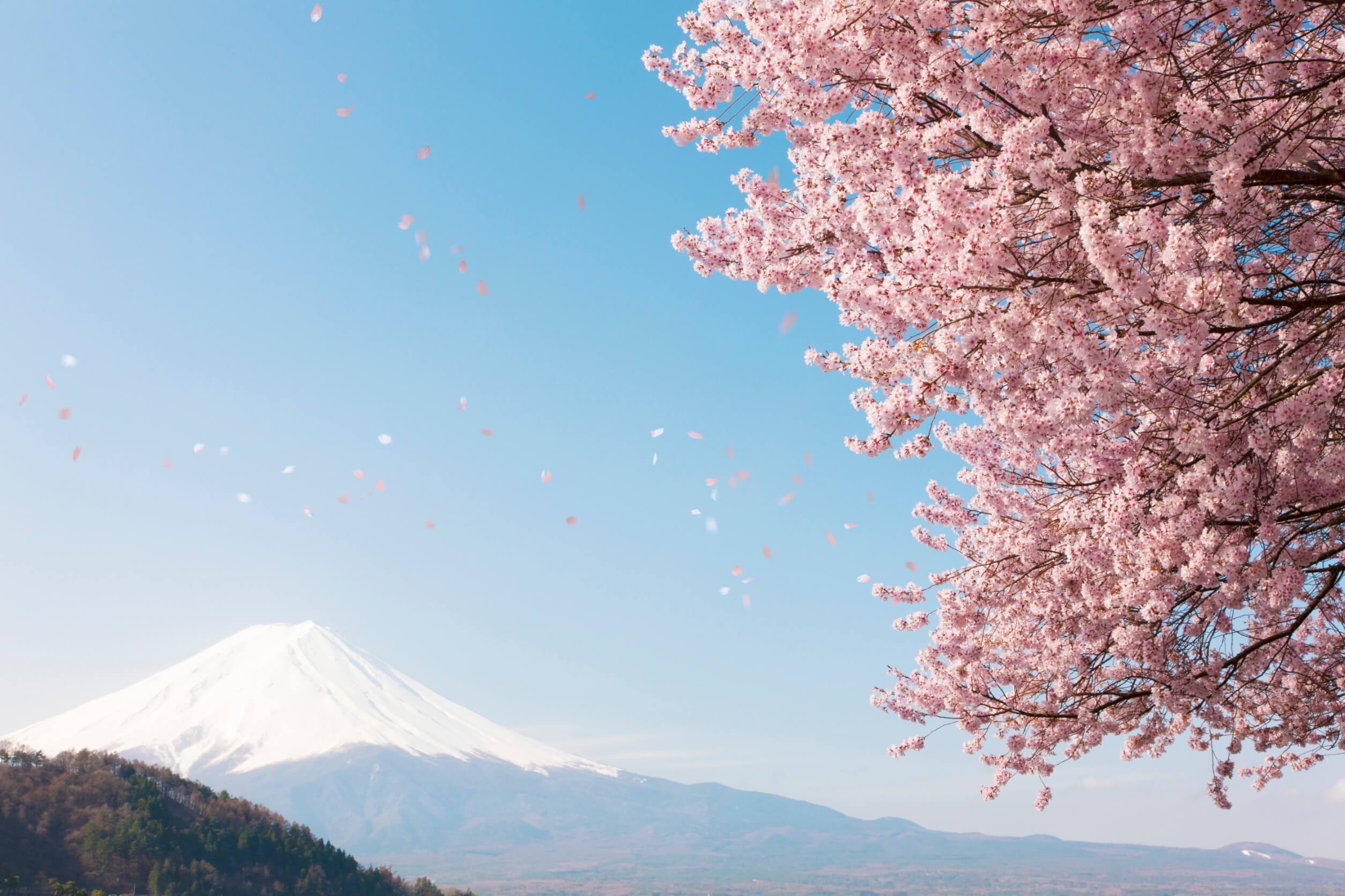 japanische Landschaft