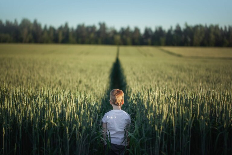 reise in die kindheit